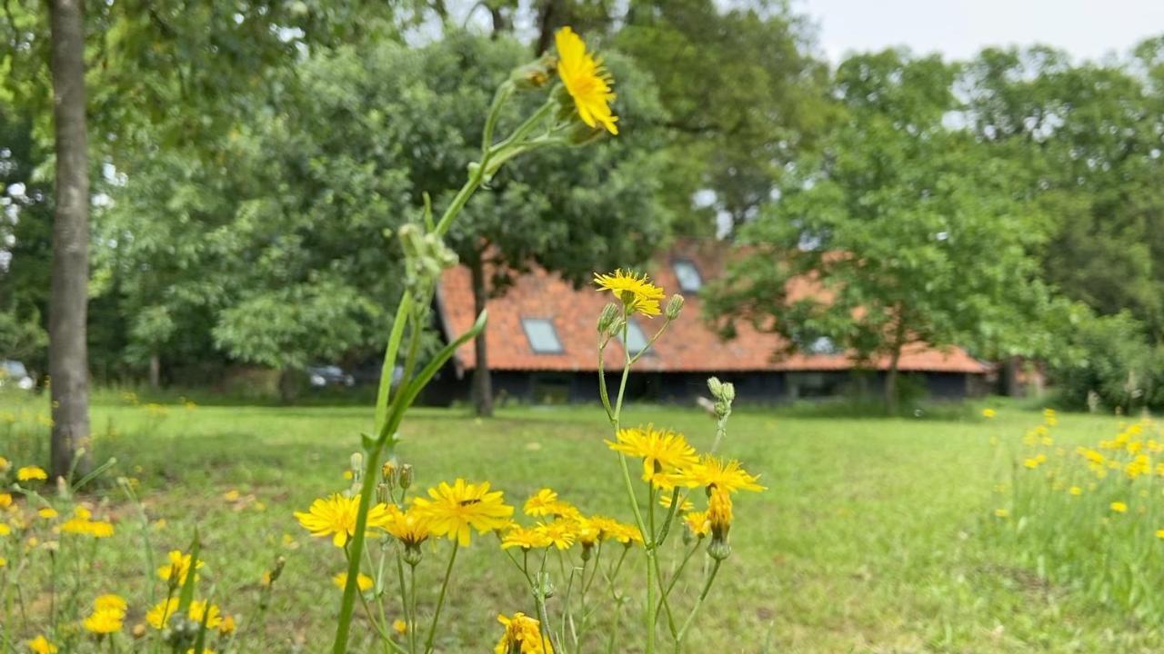 Op 'T Oorbeck Bed & Breakfast Enschede Exterior photo